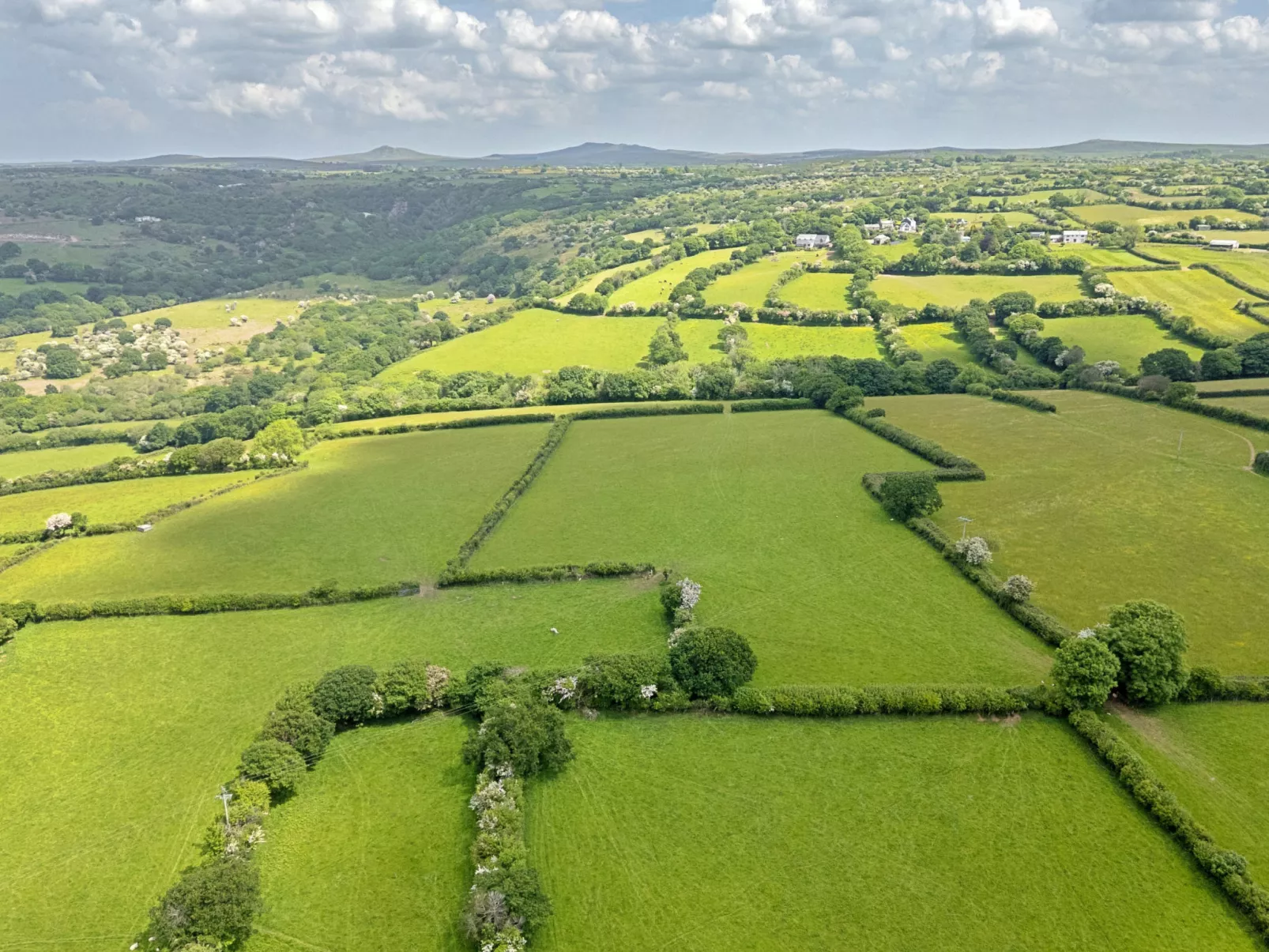 Rowella Cottage-Dehors