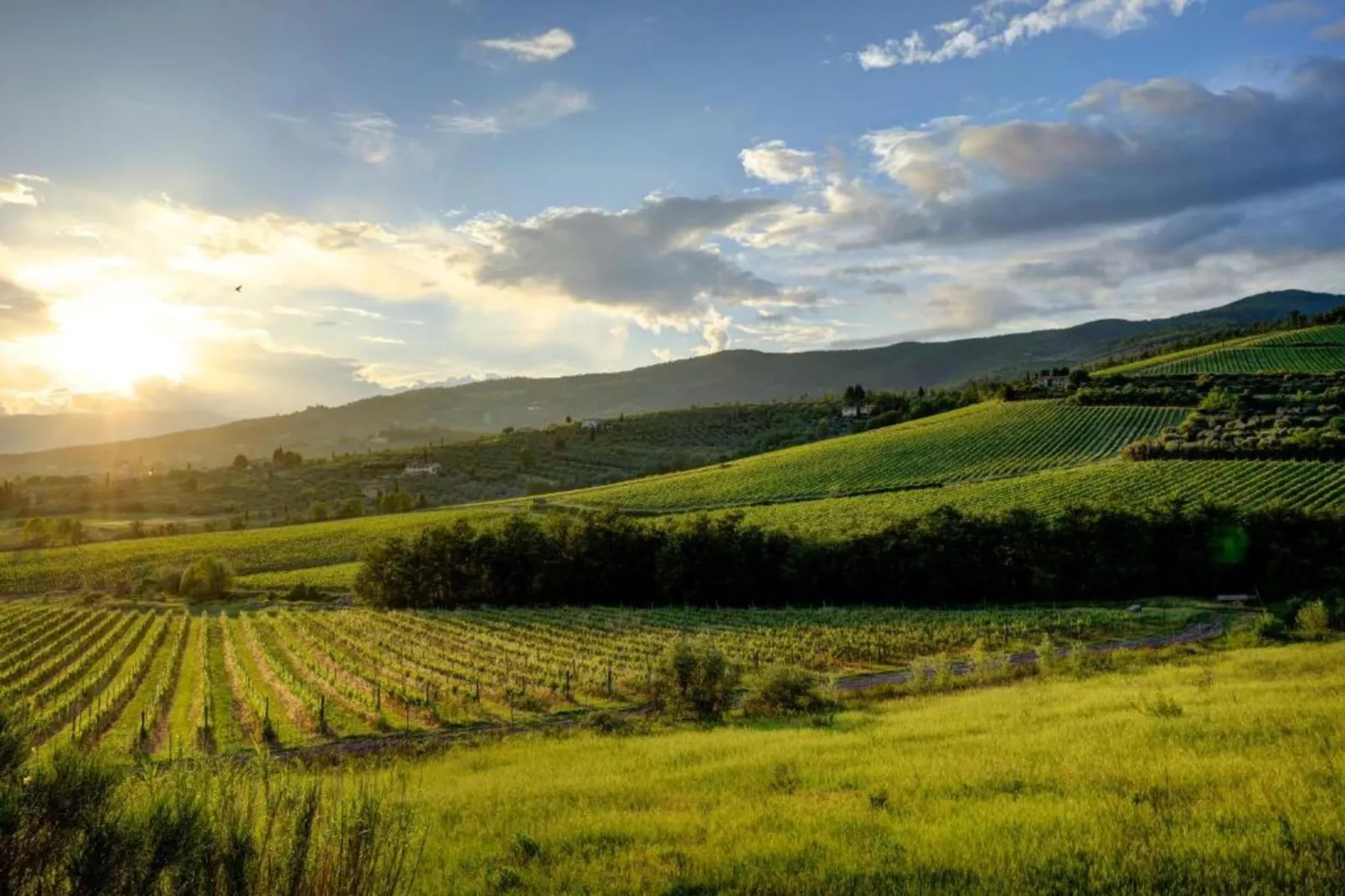 Appartamento 9-Gebiete Sommer 20 km