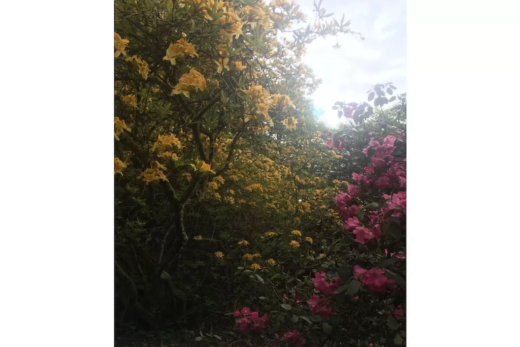 109045-Nicht zugeordnet