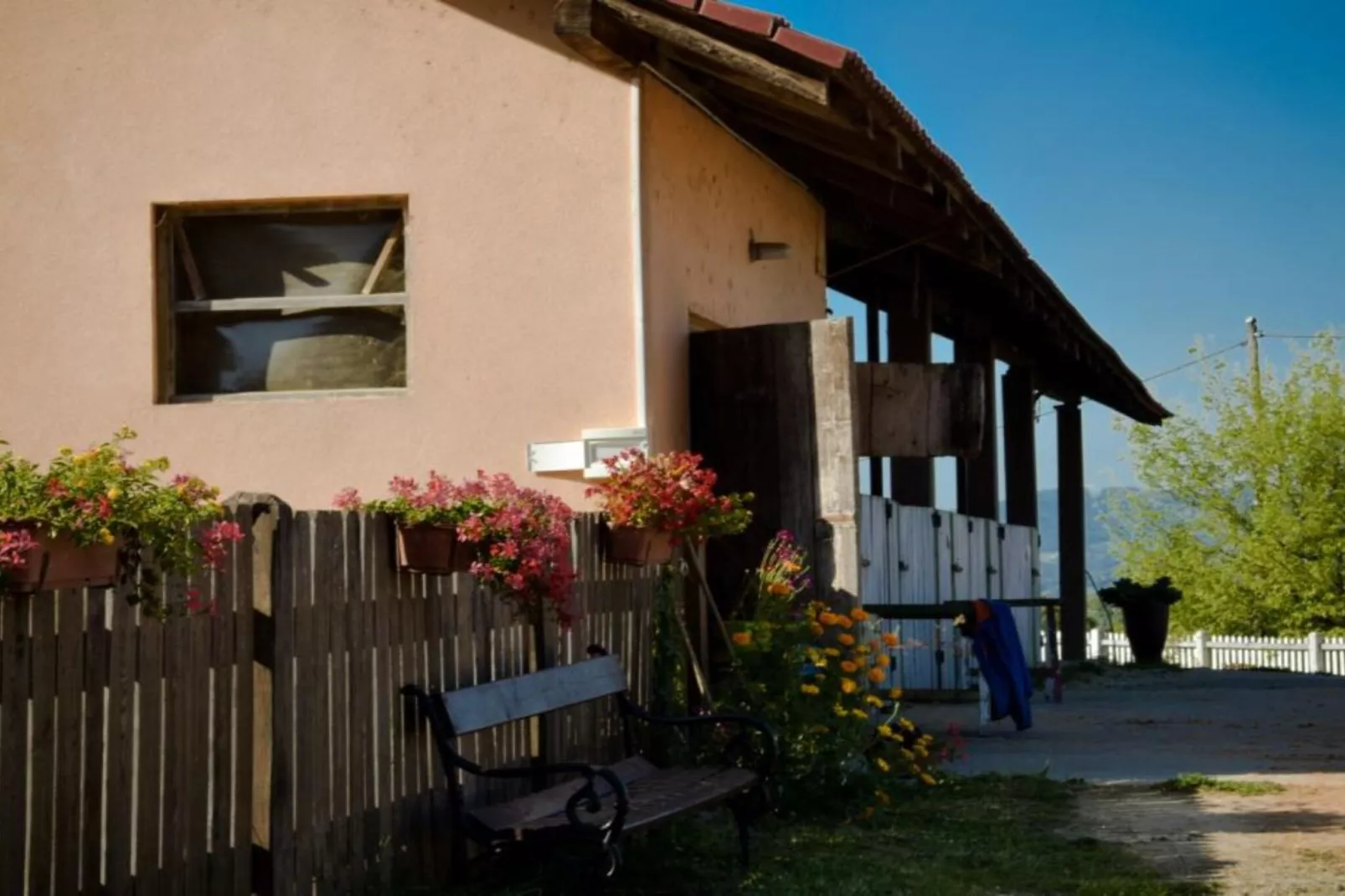 Zevnik Quiet Retreat with Stunning Views and Equestrian Activities - Standard One Bedroom Apartment-Outdoor