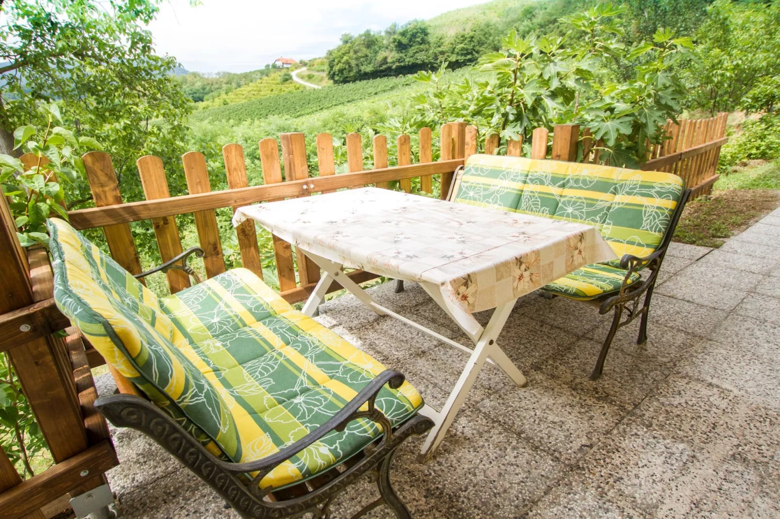 Sunny Two Bedroom Retreat in Beautiful Bizeljsko - Two Bedroom Country House-Outdoor