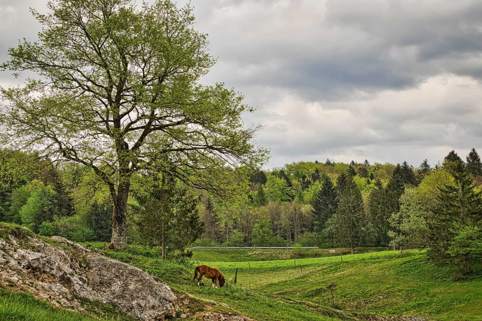 Visnja Gora Meadow Hideaway with Terrace - One Bedroom Cottage with Terrace (owner Hiška na skalci)-Im Freien