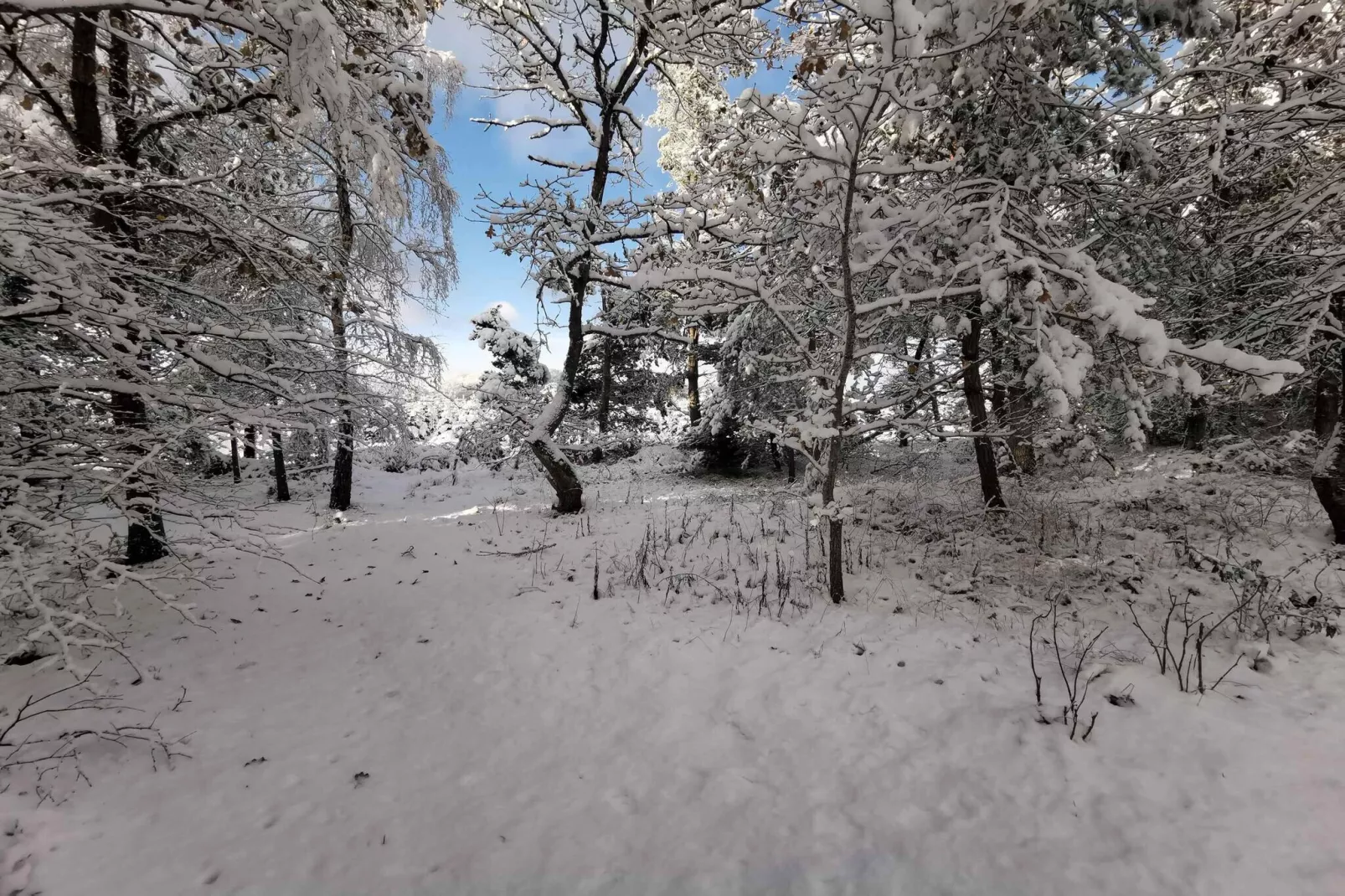 5 star holiday home in Hadsund-Outdoor