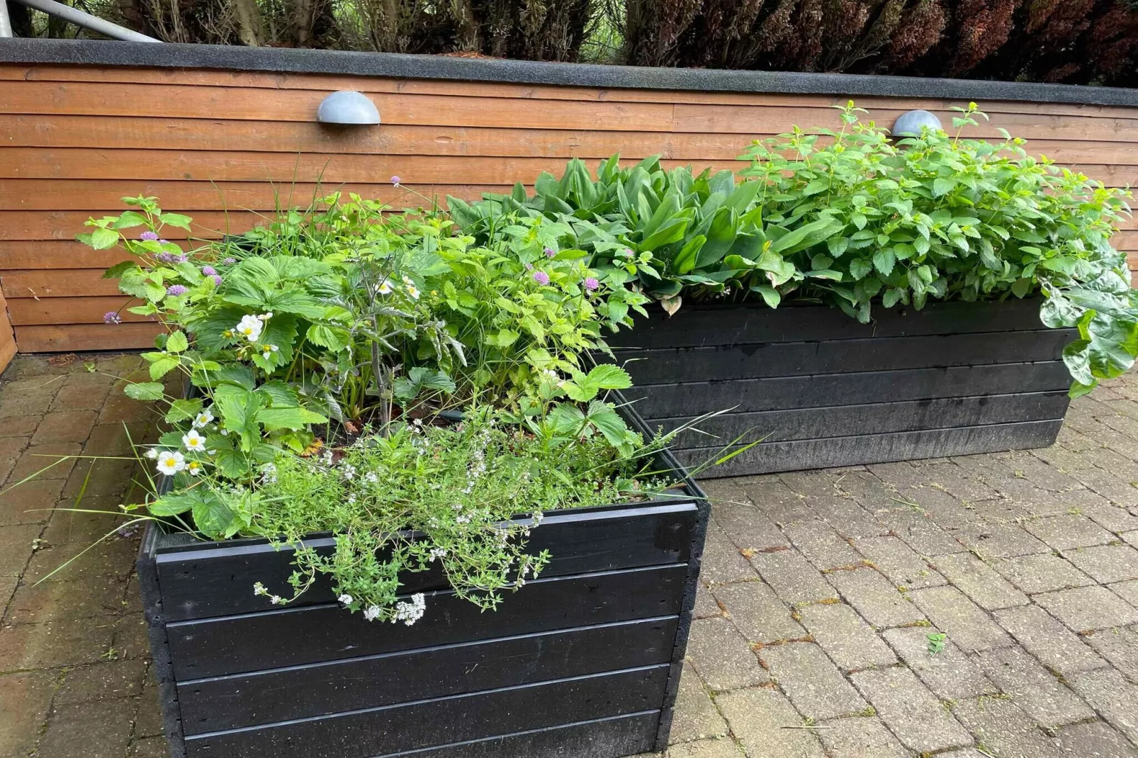 5 star holiday home in Farsø-Outdoor