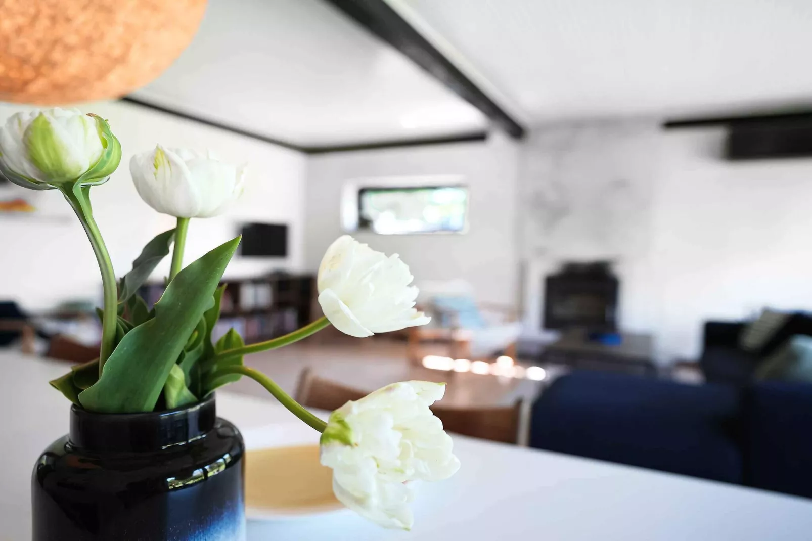 5 Sterne Ferienhaus in Græsted-Innenbereich