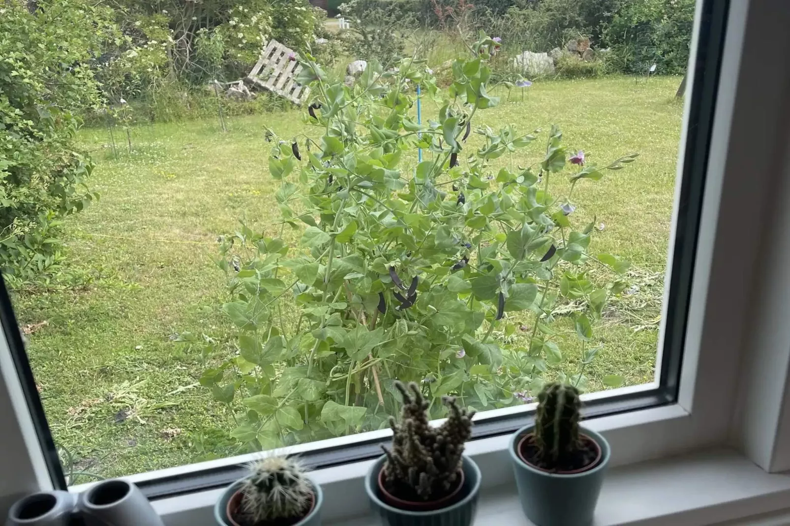 5 star holiday home in Slagelse