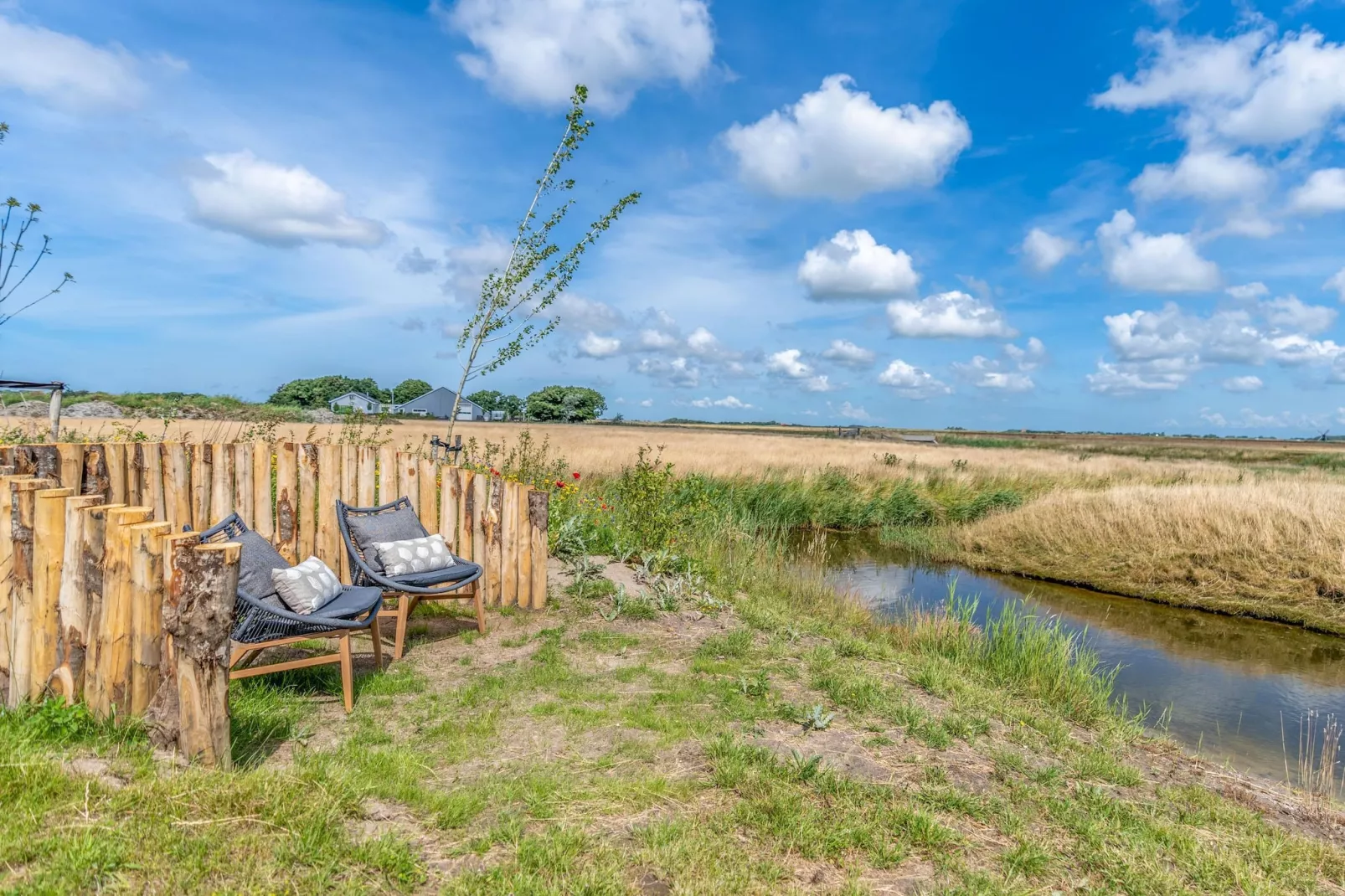 Waalburght 24-Garten Sommer