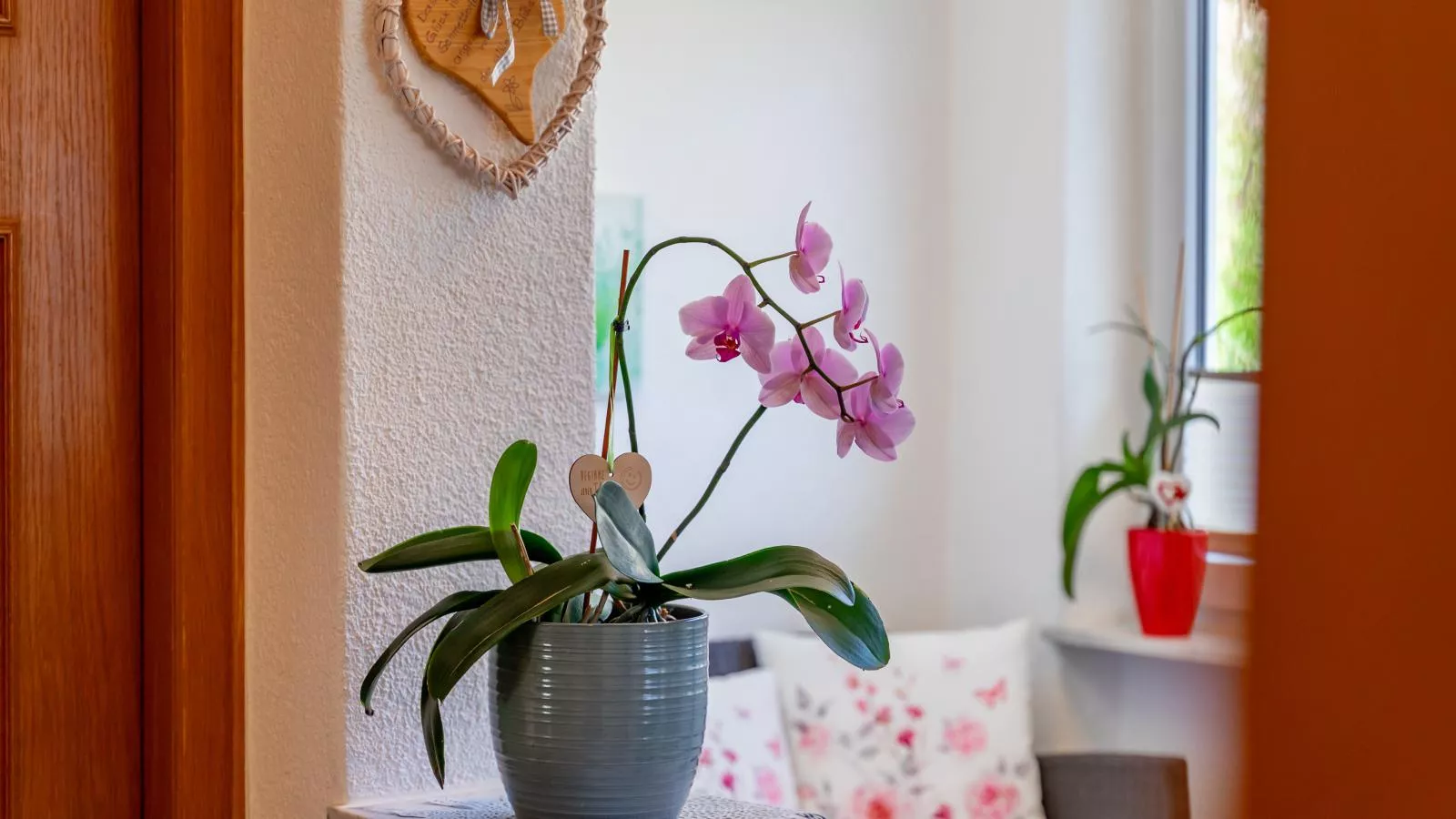 Sonnenschein I-Ambiance