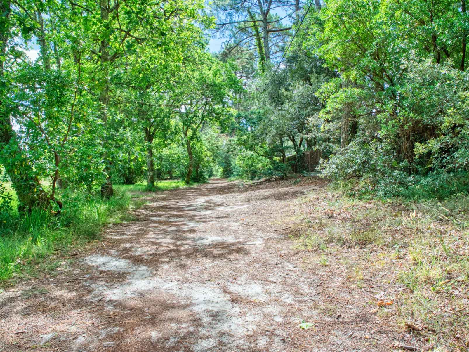 Marina de Talaris-Area