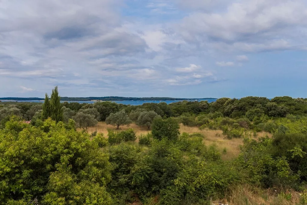 322663-Nicht zugeordnet