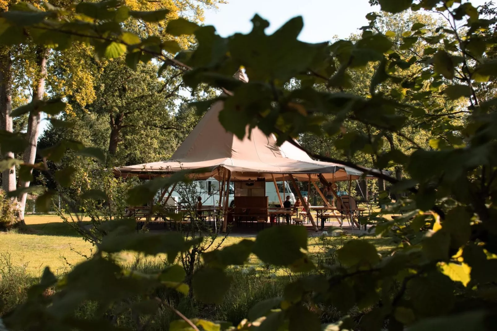 Cosy Lodge | 6 persoons - Park facilities