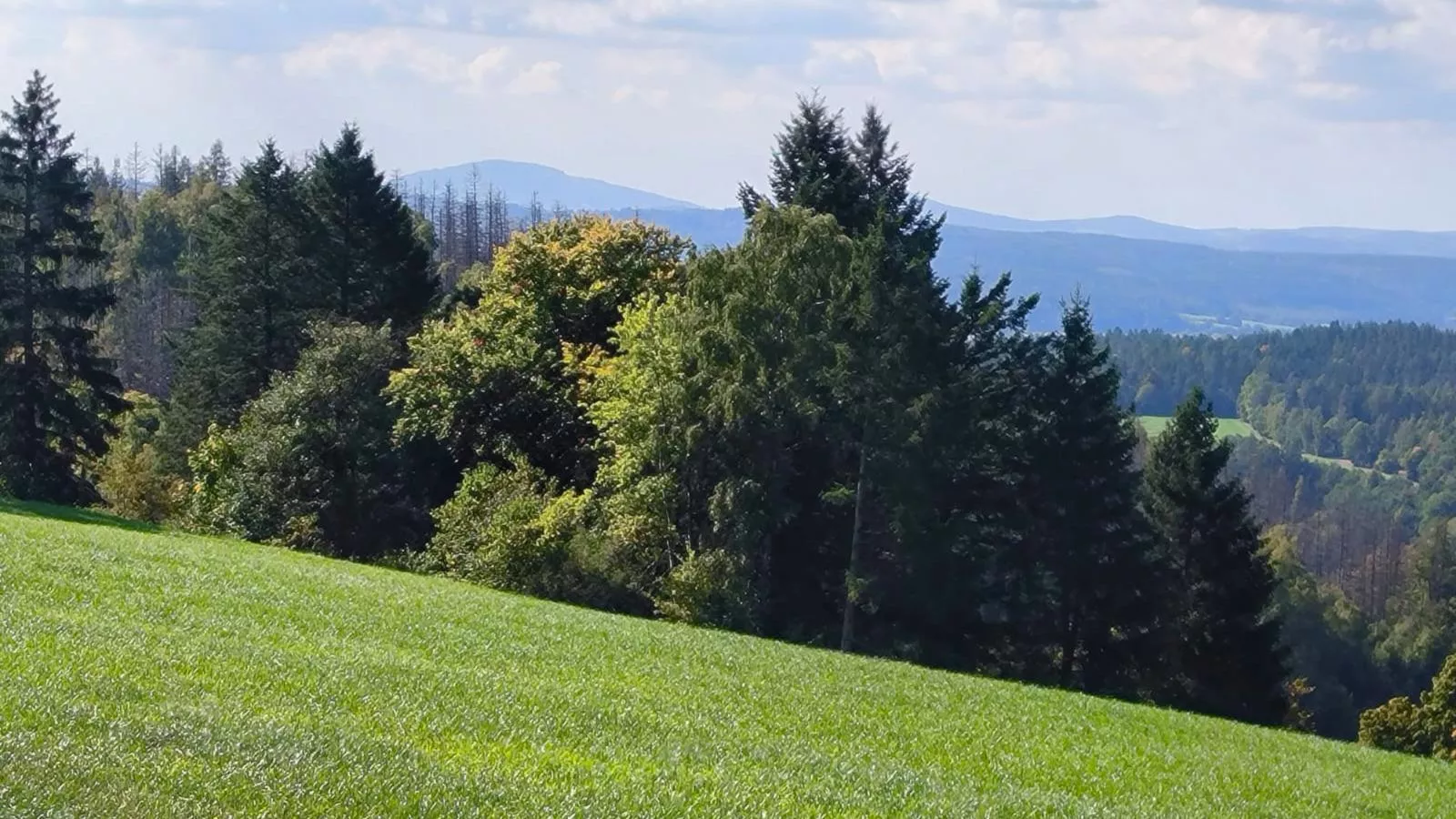 Am Springelbach-Vue d'été