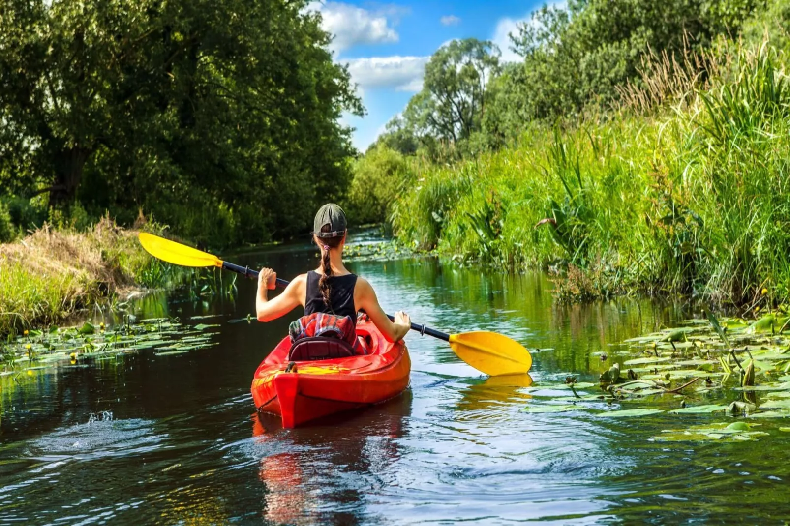 Löwenzahn 118 qm 1-9 Personen Haus Nr 22E-Areas within 1km in summer