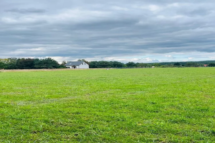 Green Hill Domysłów-Extérieur été