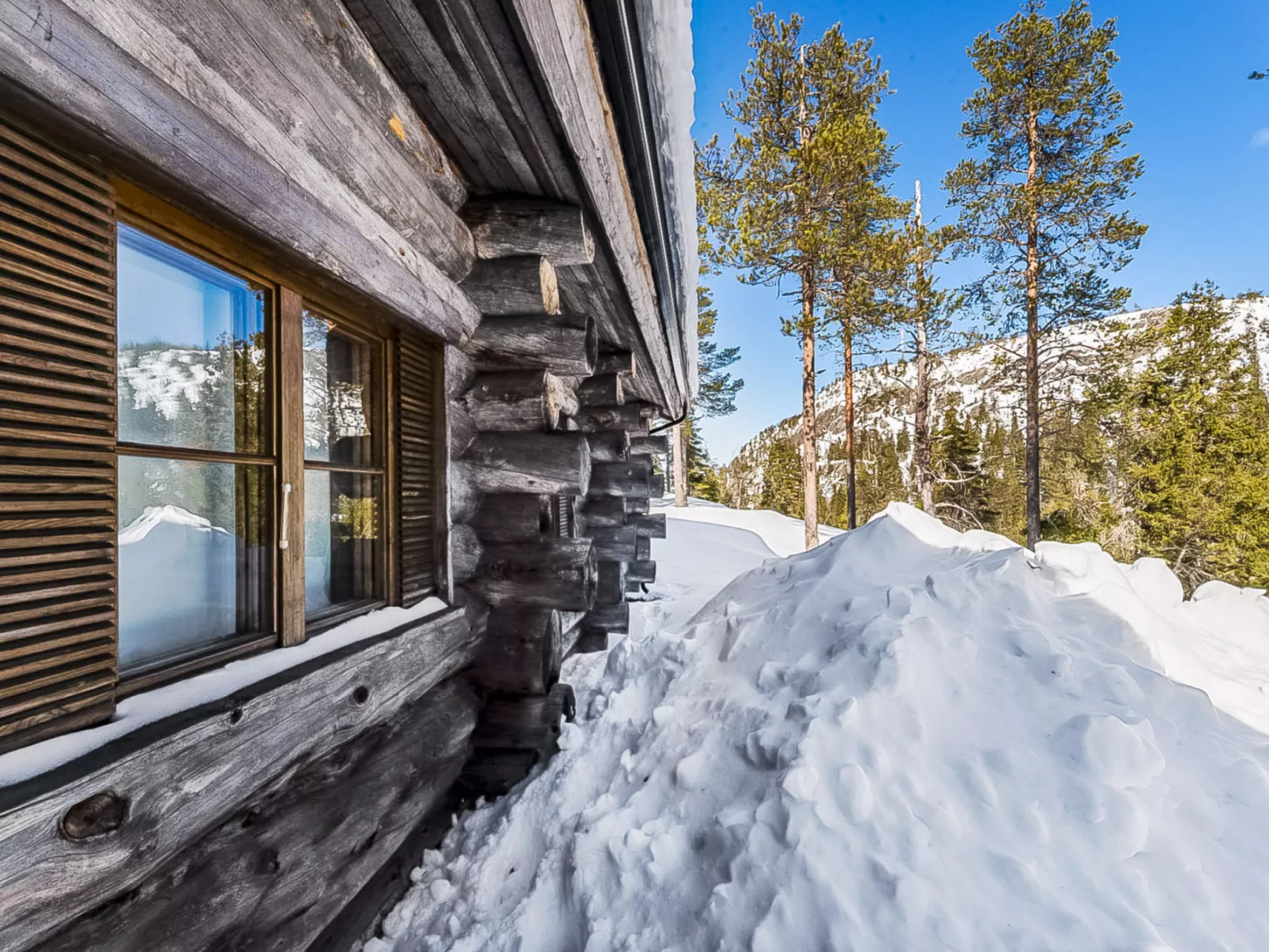 Rukan kelohuvila-Dedans