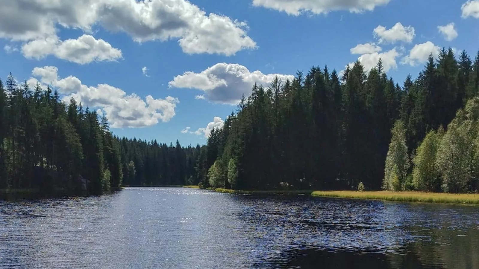 Am Sonnenblick-Areas within 5km in summer