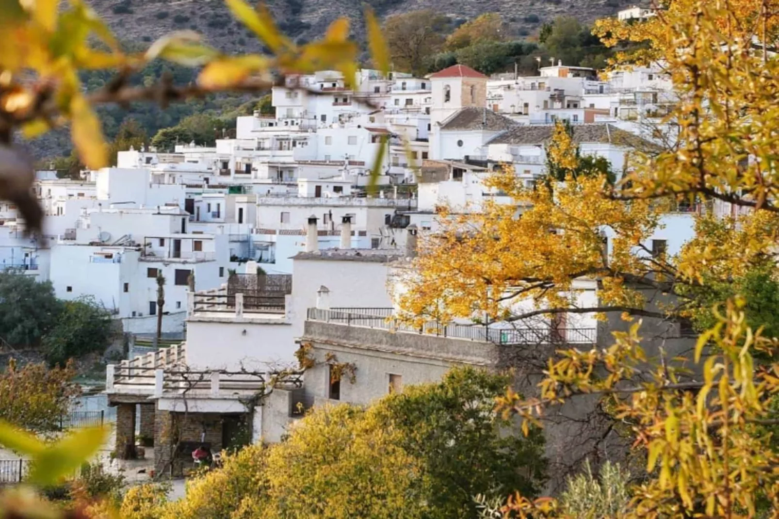 1468-Montebajo-Areas within 1km in summer