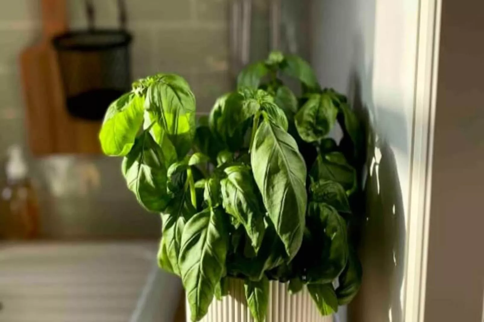 ✨magnifique Vue Sur La Mer Sur Le Port, Balcon S-o ✨-Untagged