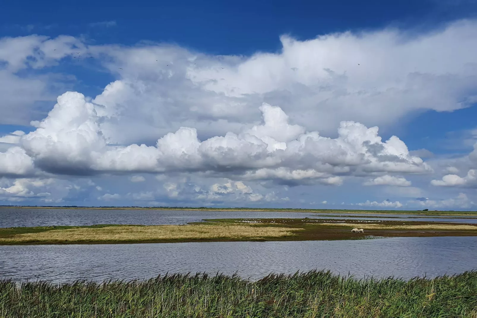 5 person holiday home in Højer-By Traum-Water view