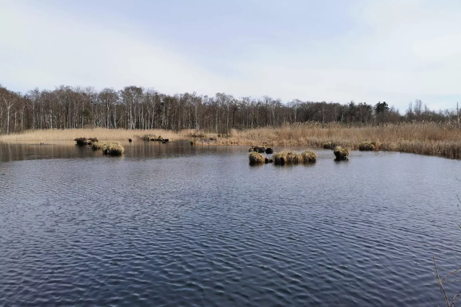 Maison de vacances pour 6 a Stubbekøbing-By Traum-Vue sur l'eau