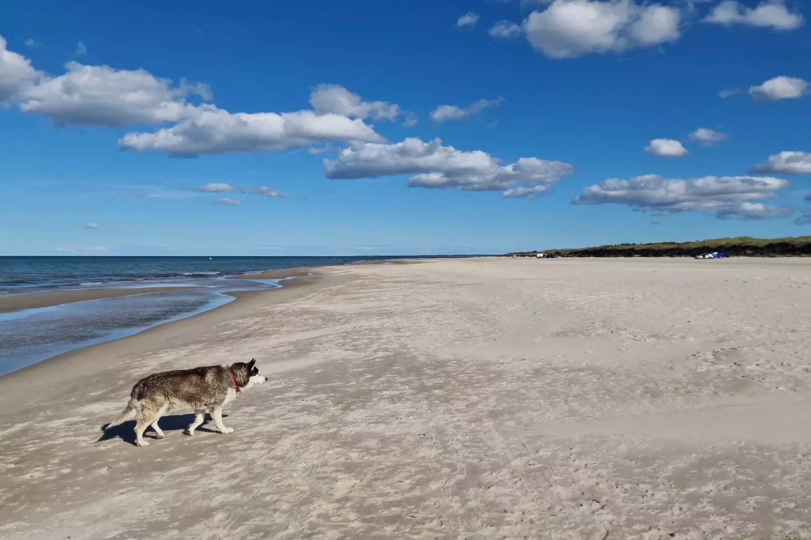 4 person holiday home in Ålbæk-By Traum-Water view