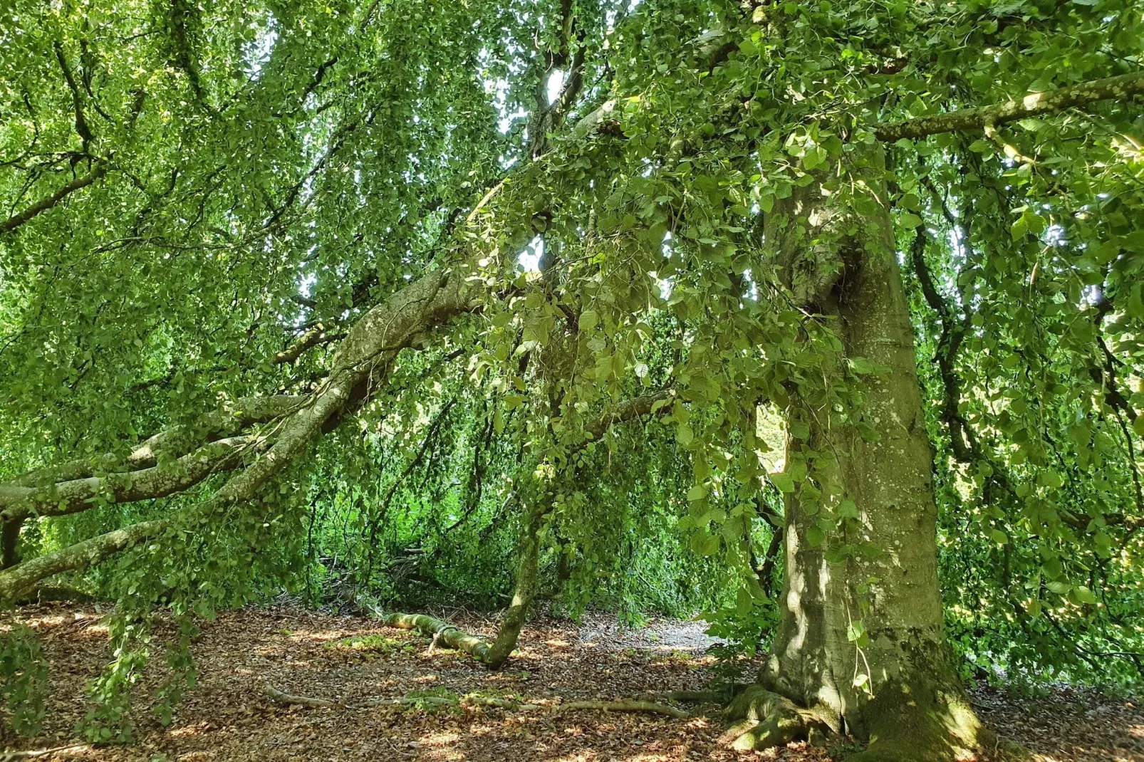 6 person holiday home in Øster Assels-By Traum-Untagged