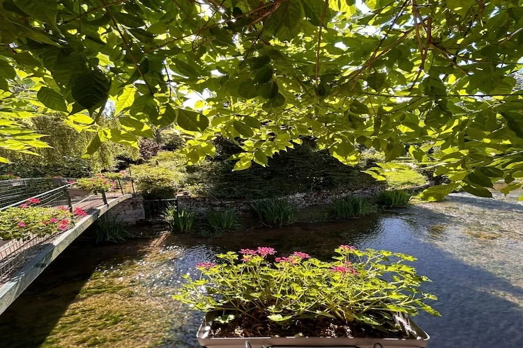 Bligny-sur-Ouche-Jardins en été