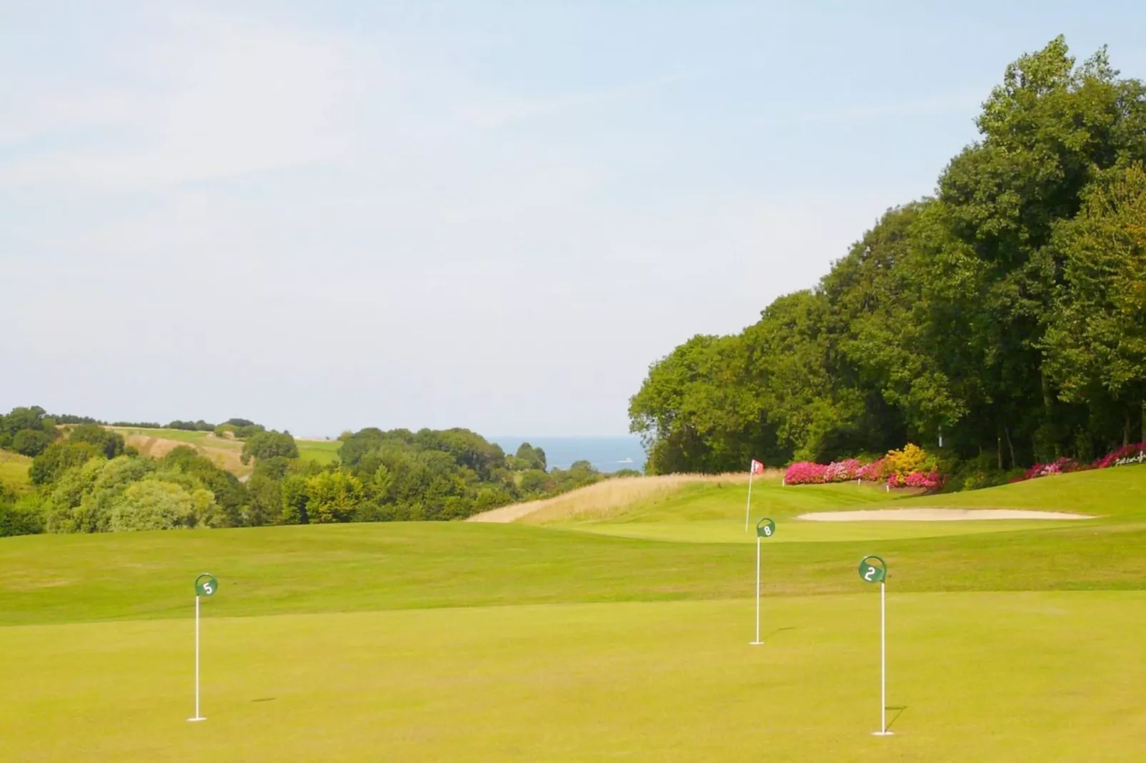 Gite Le Jonquet-Park facilities