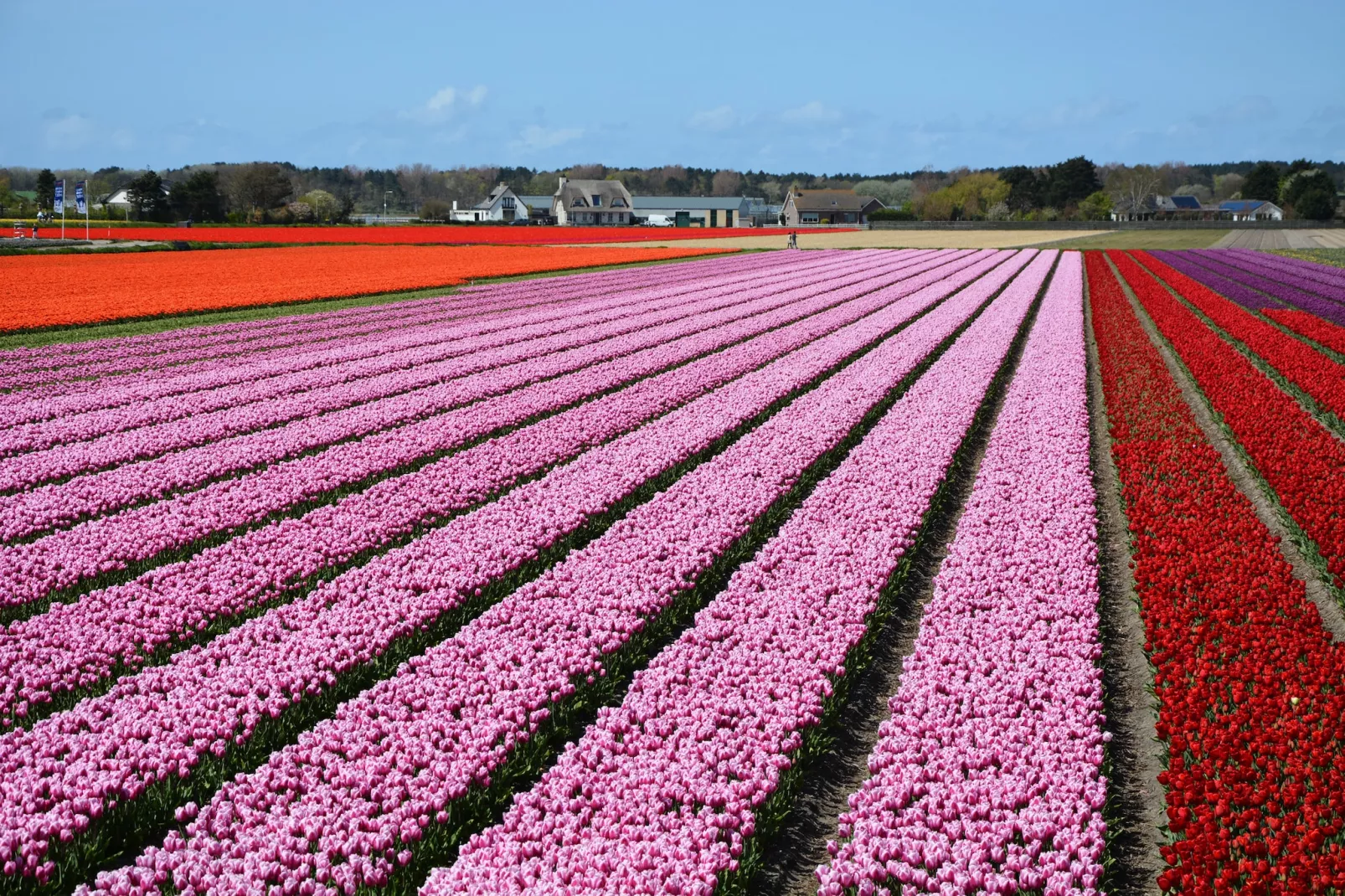 Marie aan Zee-Areas within 5km in summer