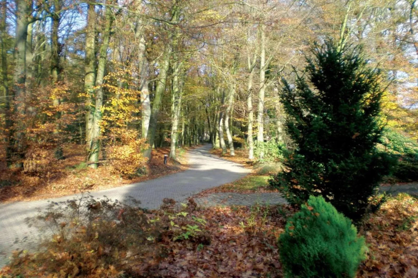 Vakantiepark De Lochemse Berg 2-Areas within 20km in summer