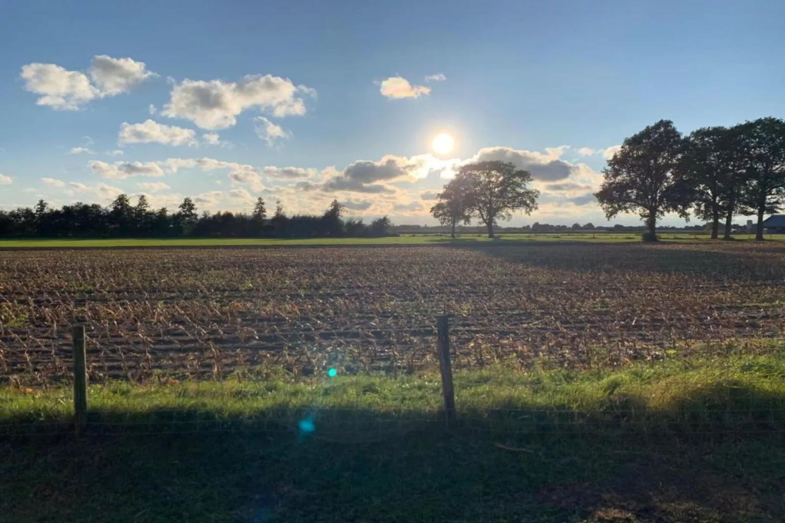 Bospark Markelo 6-Areas within 20km in summer