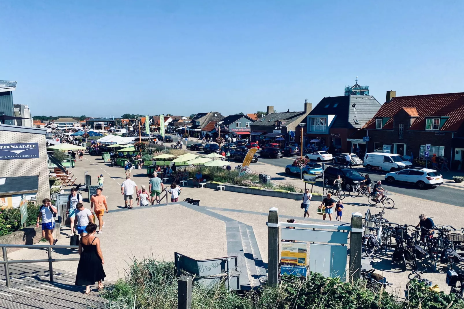 INFINITY-Areas within 1km in summer