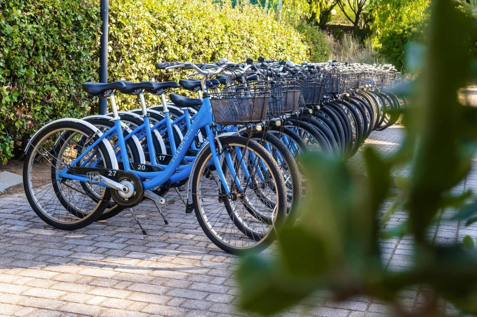 Holiday resort Riva degli Etruschi San Vincenzo-Ville Medium Trilo-VERDELLO 200 m dal mare-équipements