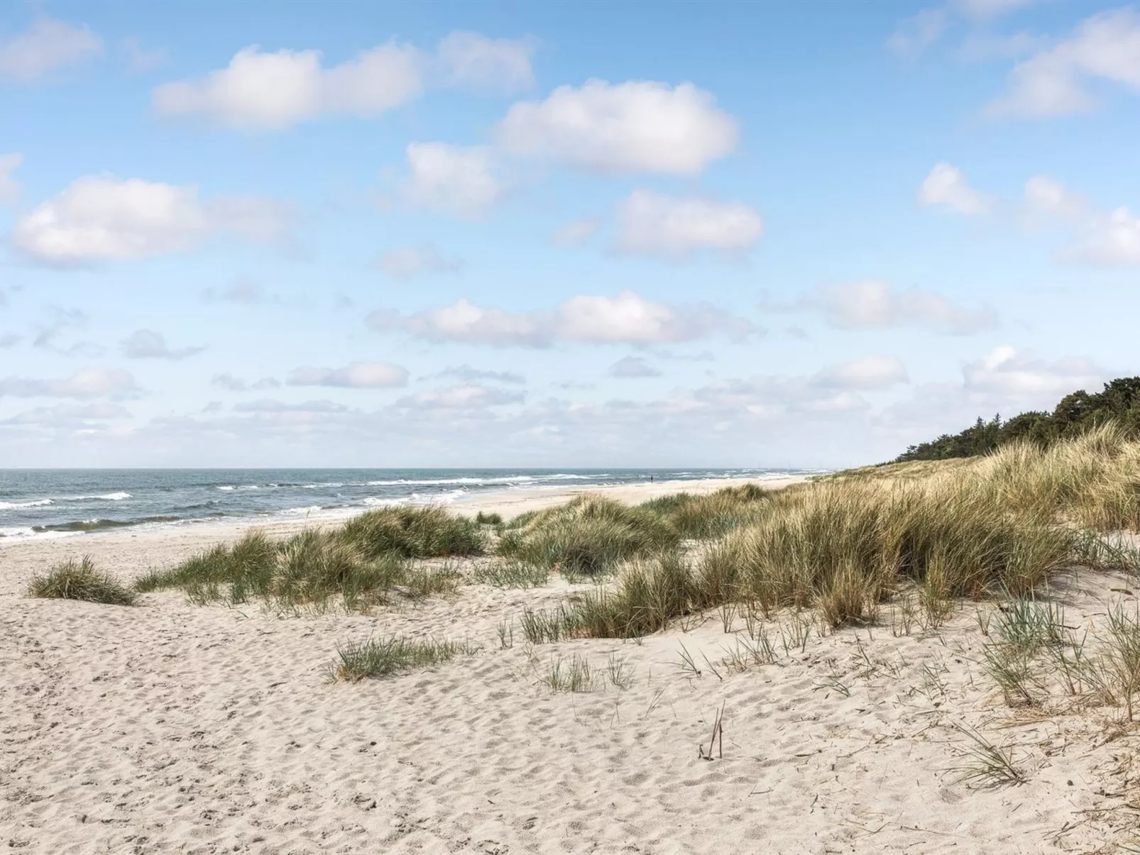 "Tume" - 200m from the sea-Outside