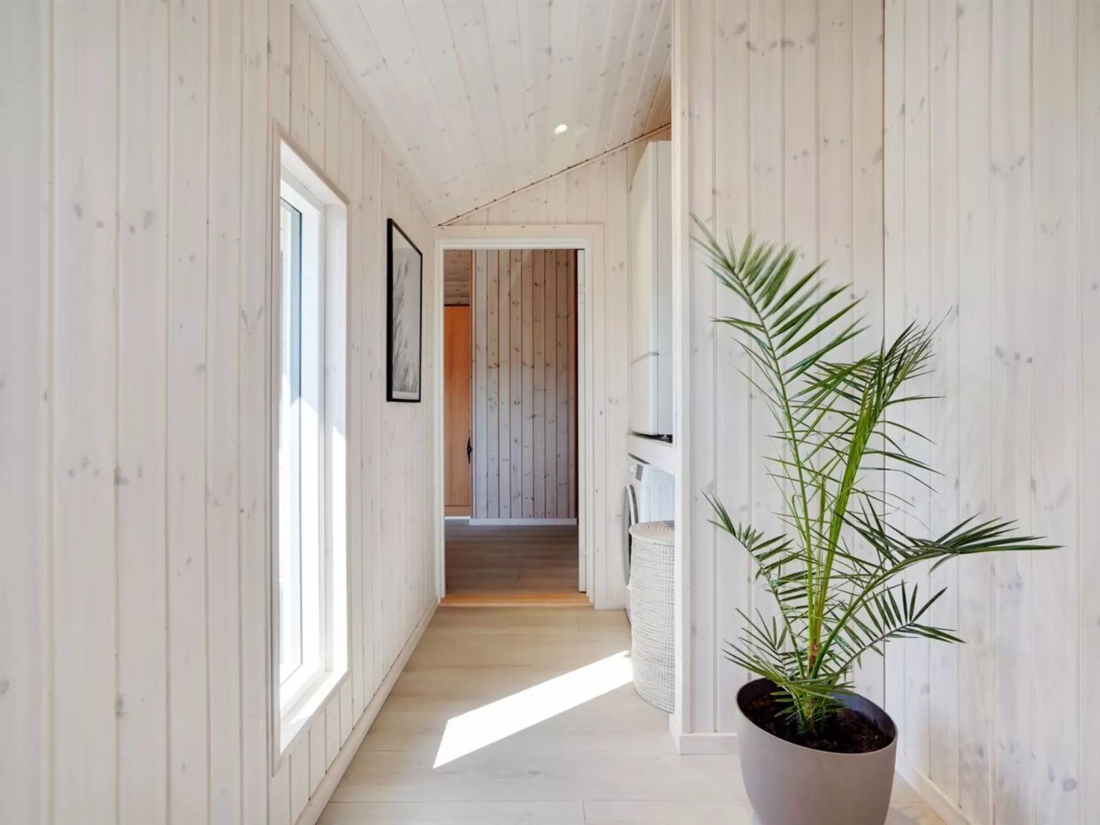 "Wilke" -  from the sea-Dedans