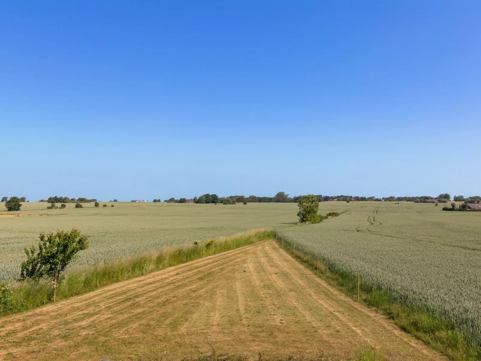 "Nilia" - 3.5km from the sea-Outside