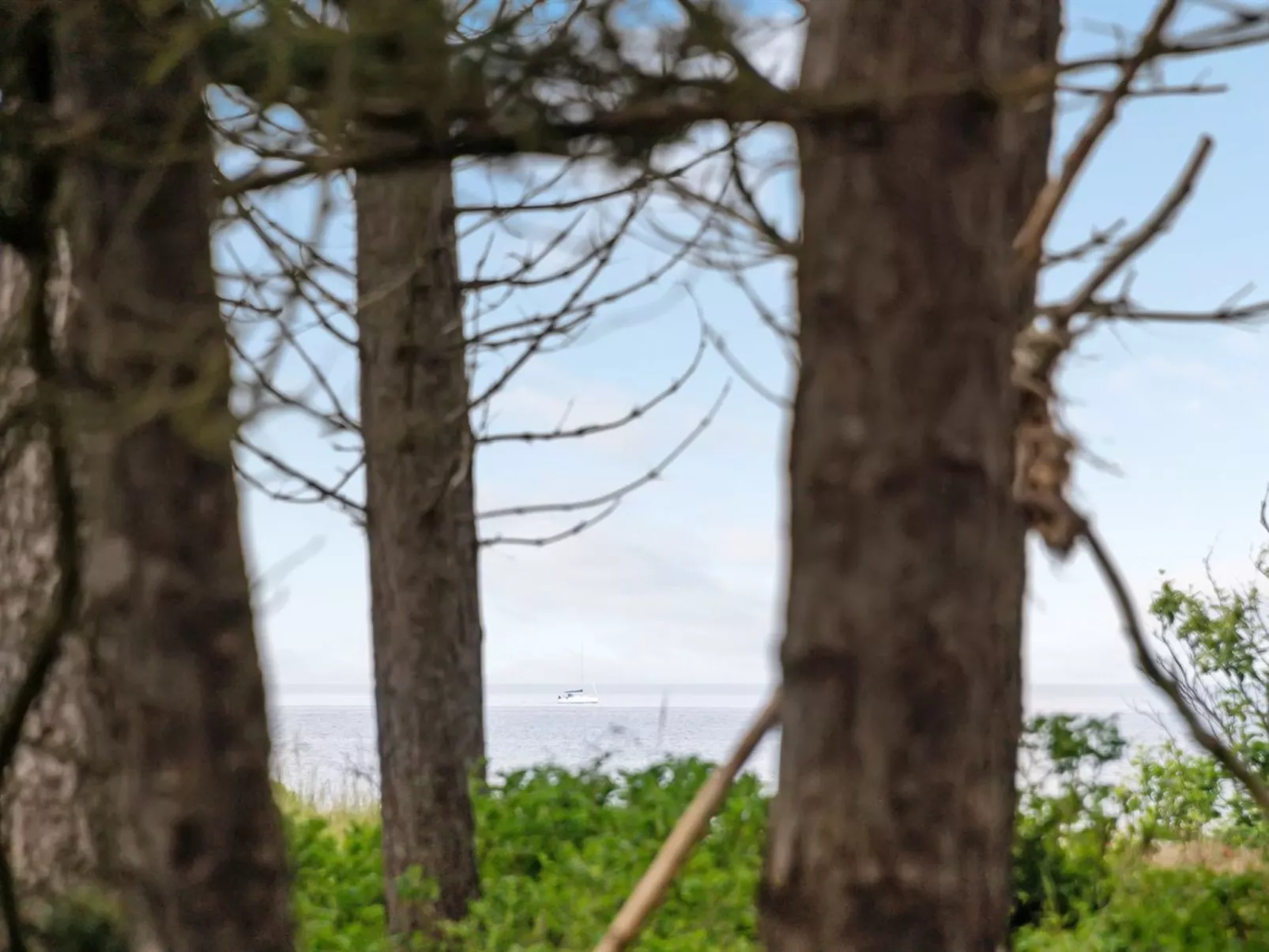 "Jute" - 100m from the sea-Outside