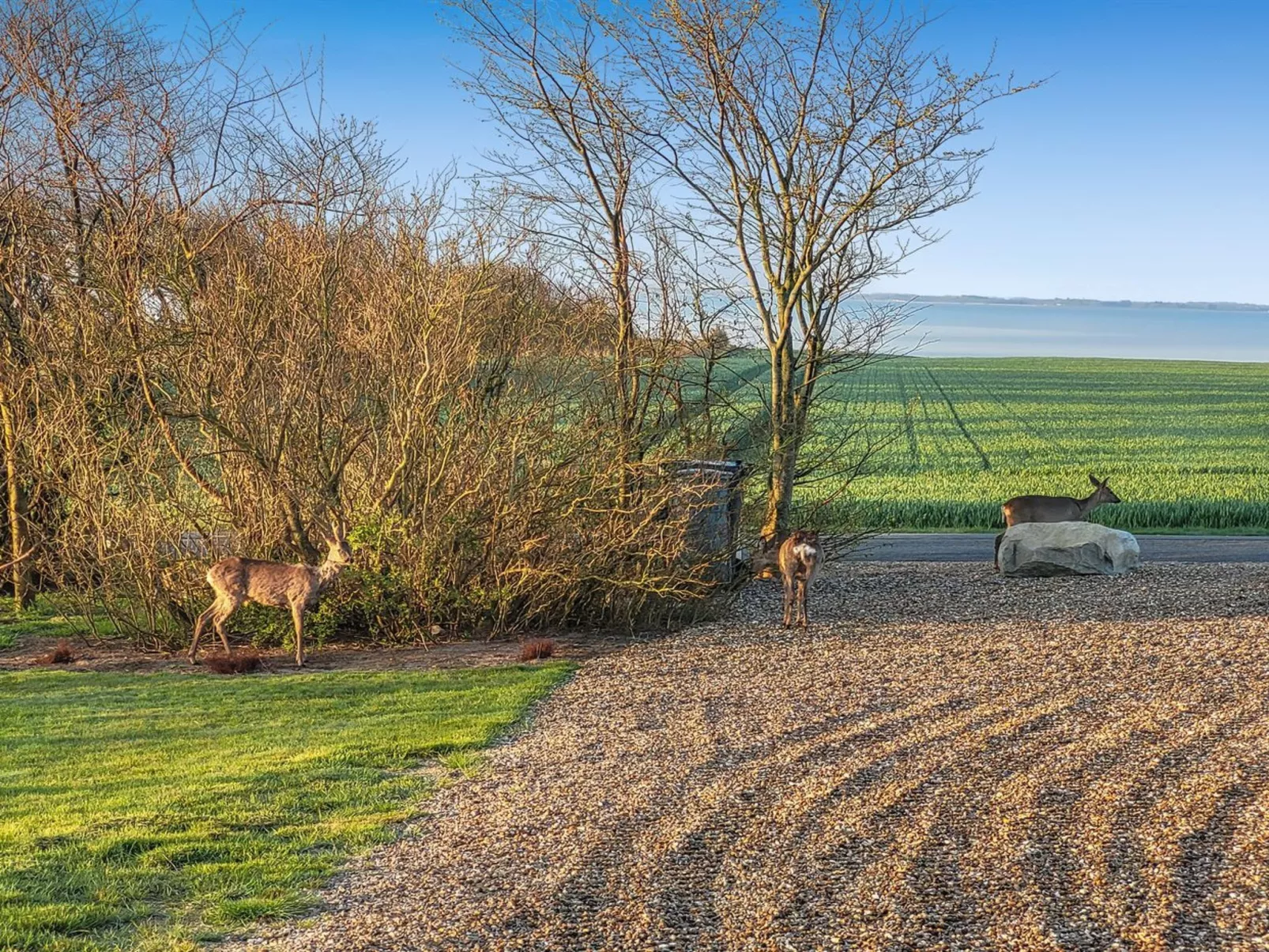 "Imilie" - 250m to the fjord-Dehors