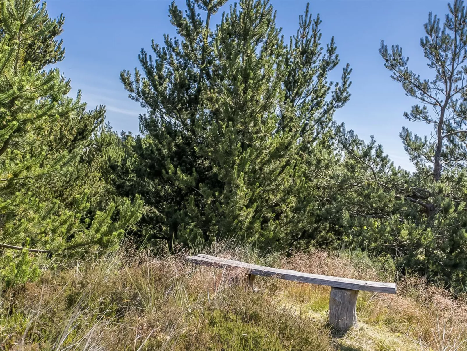 "Bruna" - 2km from the sea-Dehors