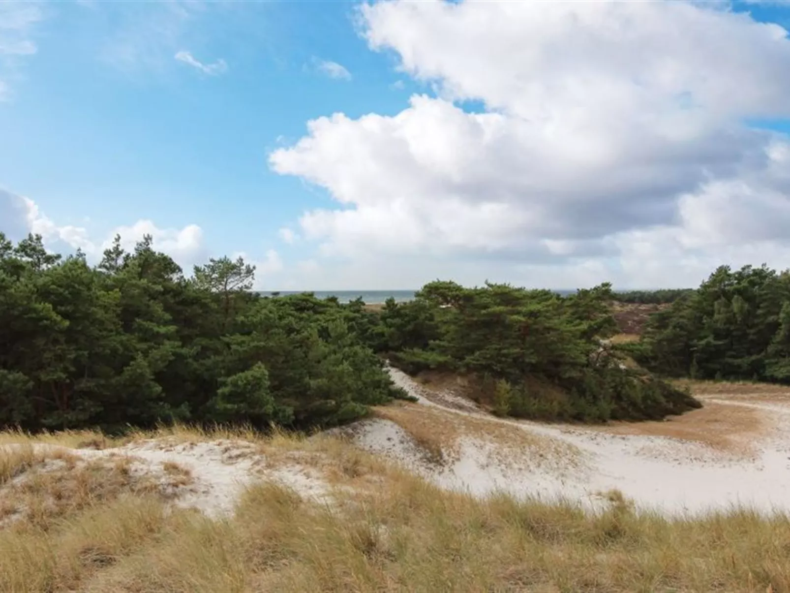 "Minka" - 300m from the sea-Outside