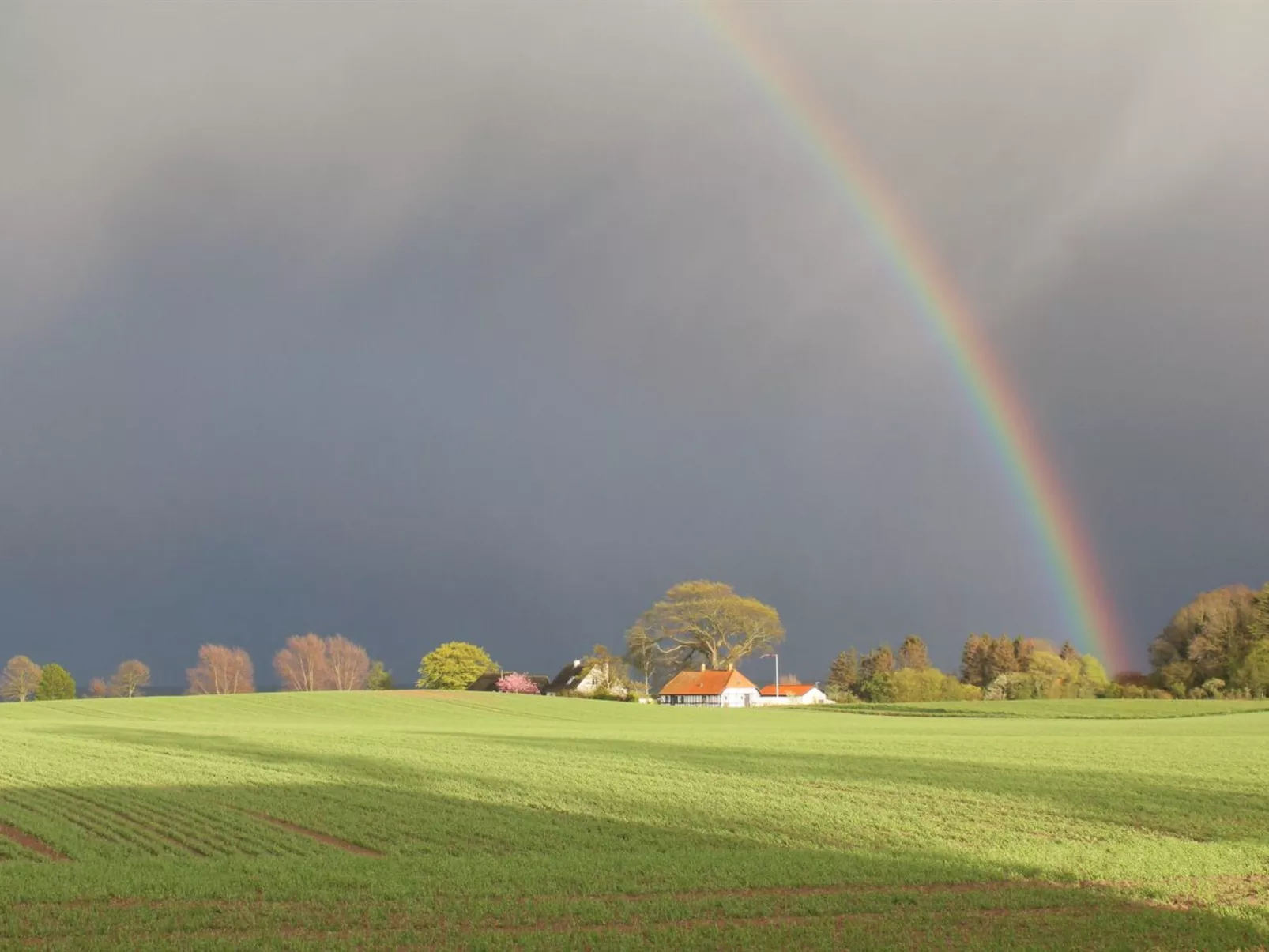 "Harre" - 300m from the sea-Outside