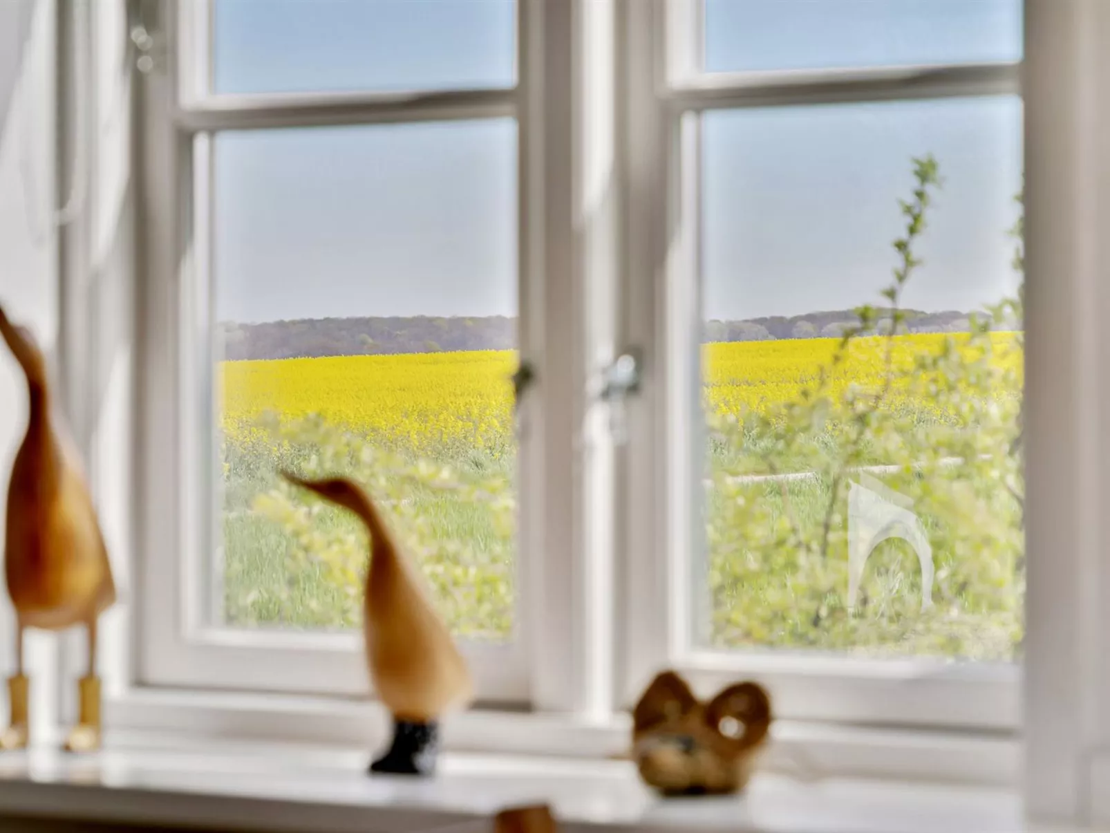 "Store" - 700m from the sea-Dedans