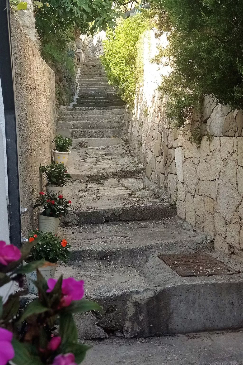 Lara-Outside