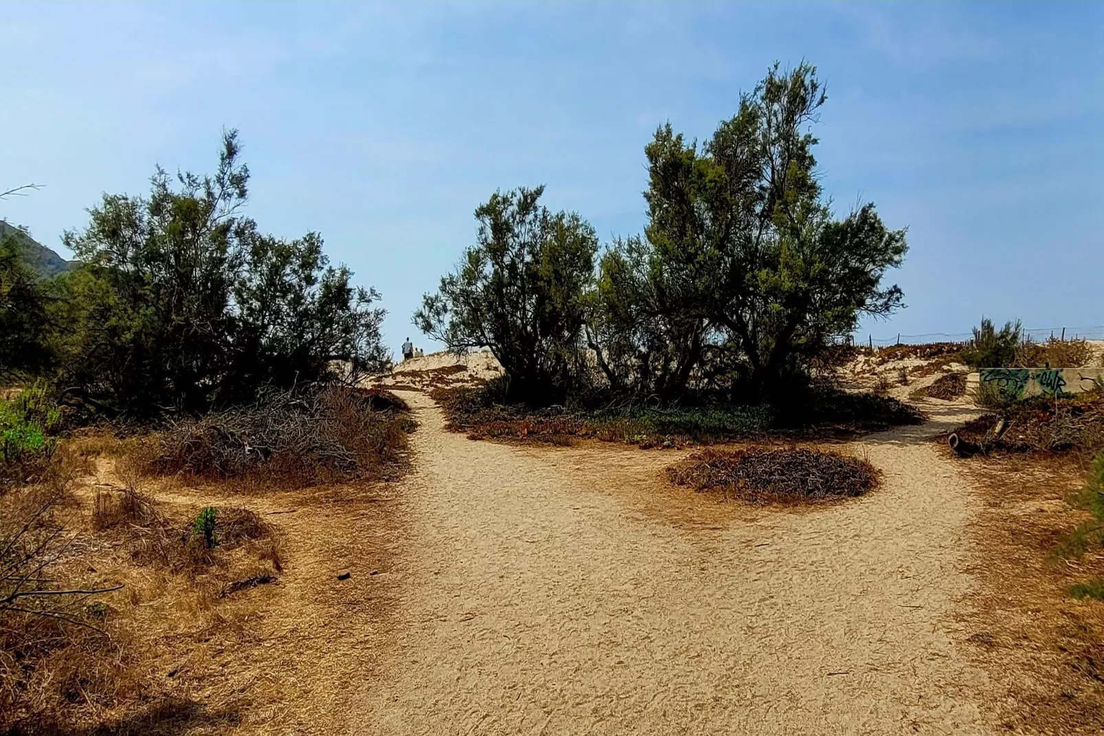 Résidence U Livanti Belvédère Campomoro - Chalet Casane-Areas within 20km in summer