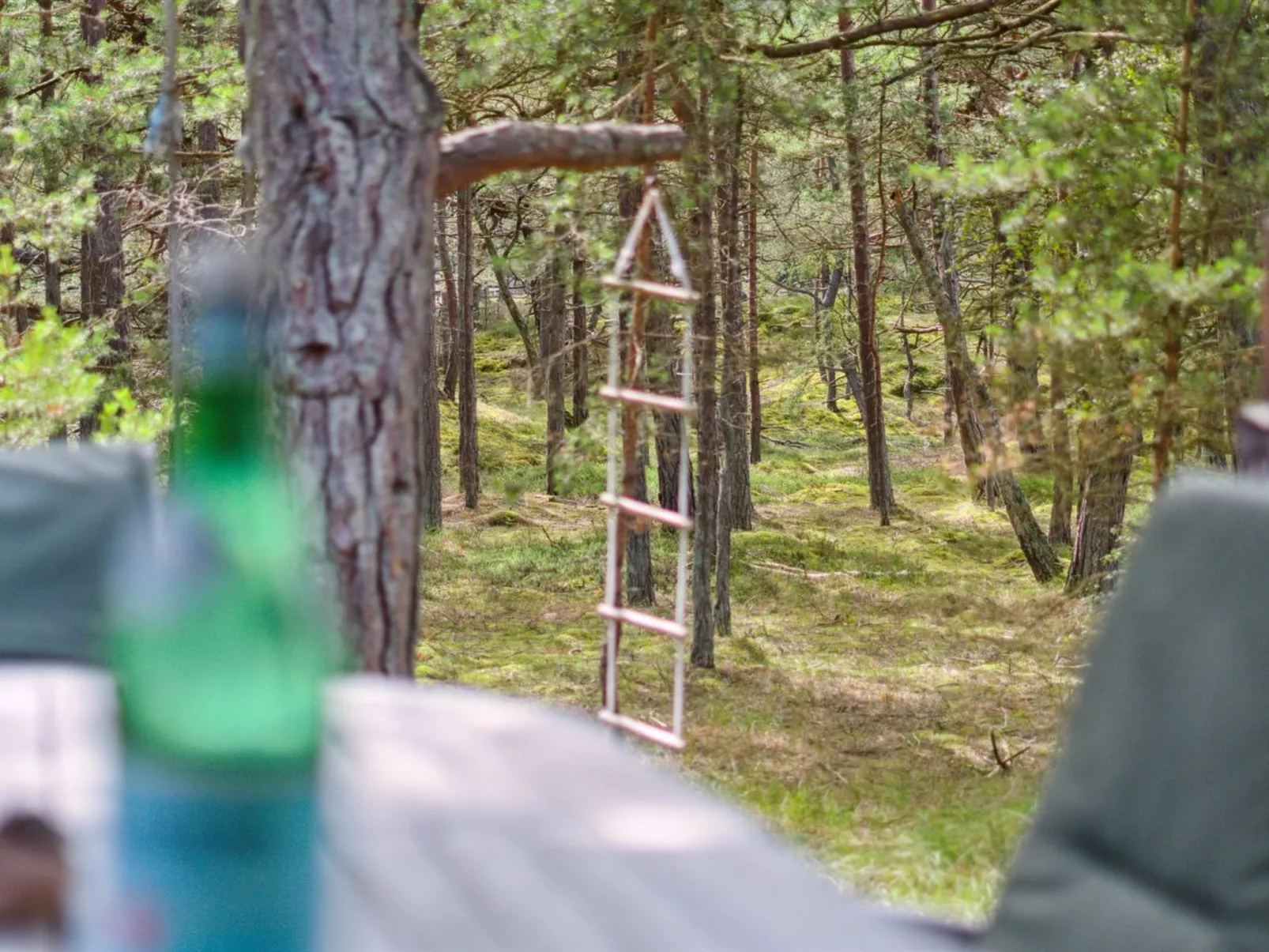 "Alita" - 300m from the sea-Outside