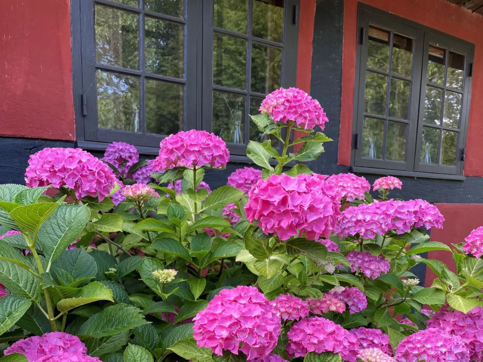 "Elvin" - 2.7km from the sea-Outside