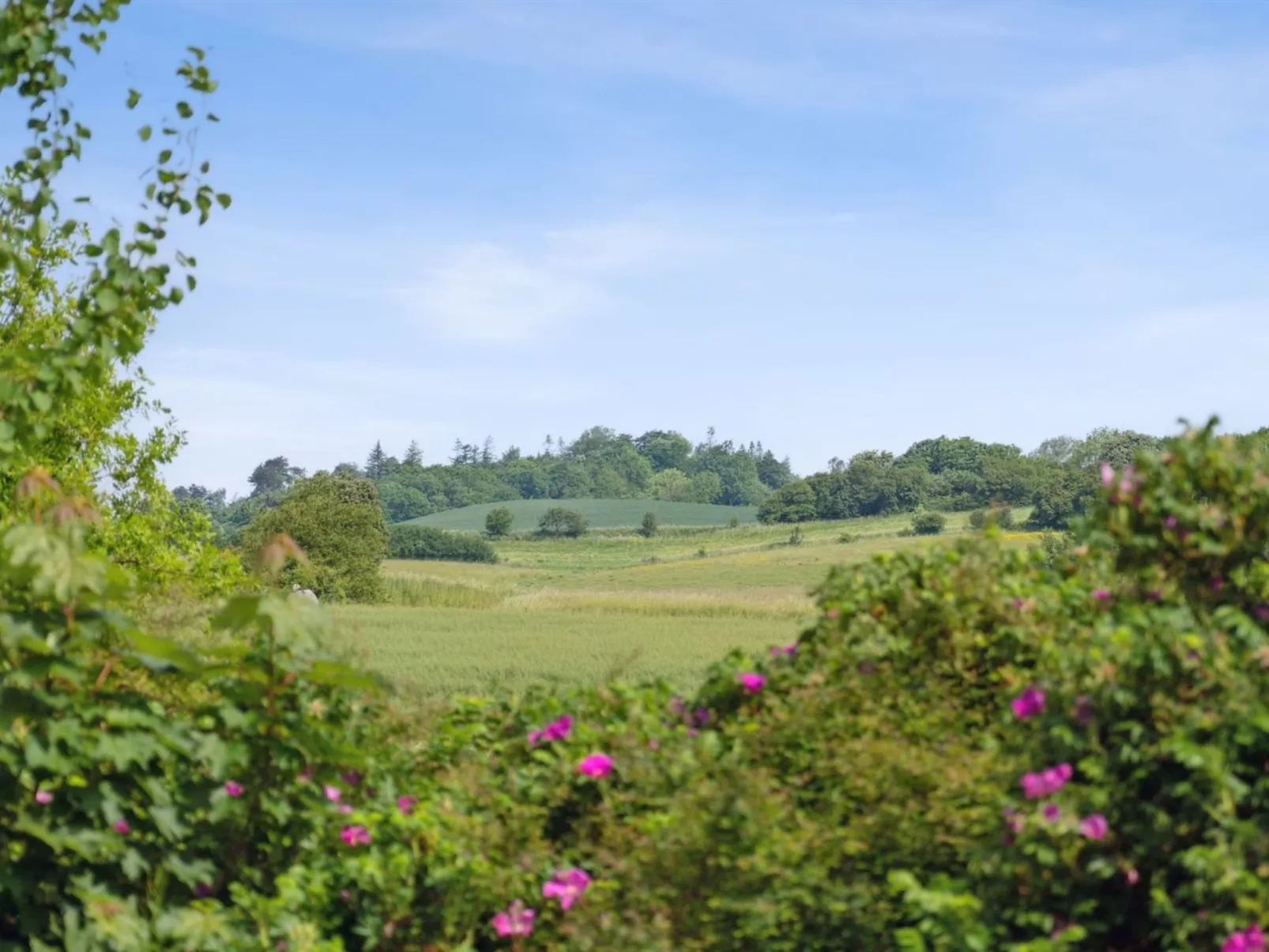 "Sys" - 150m from the sea-Outside