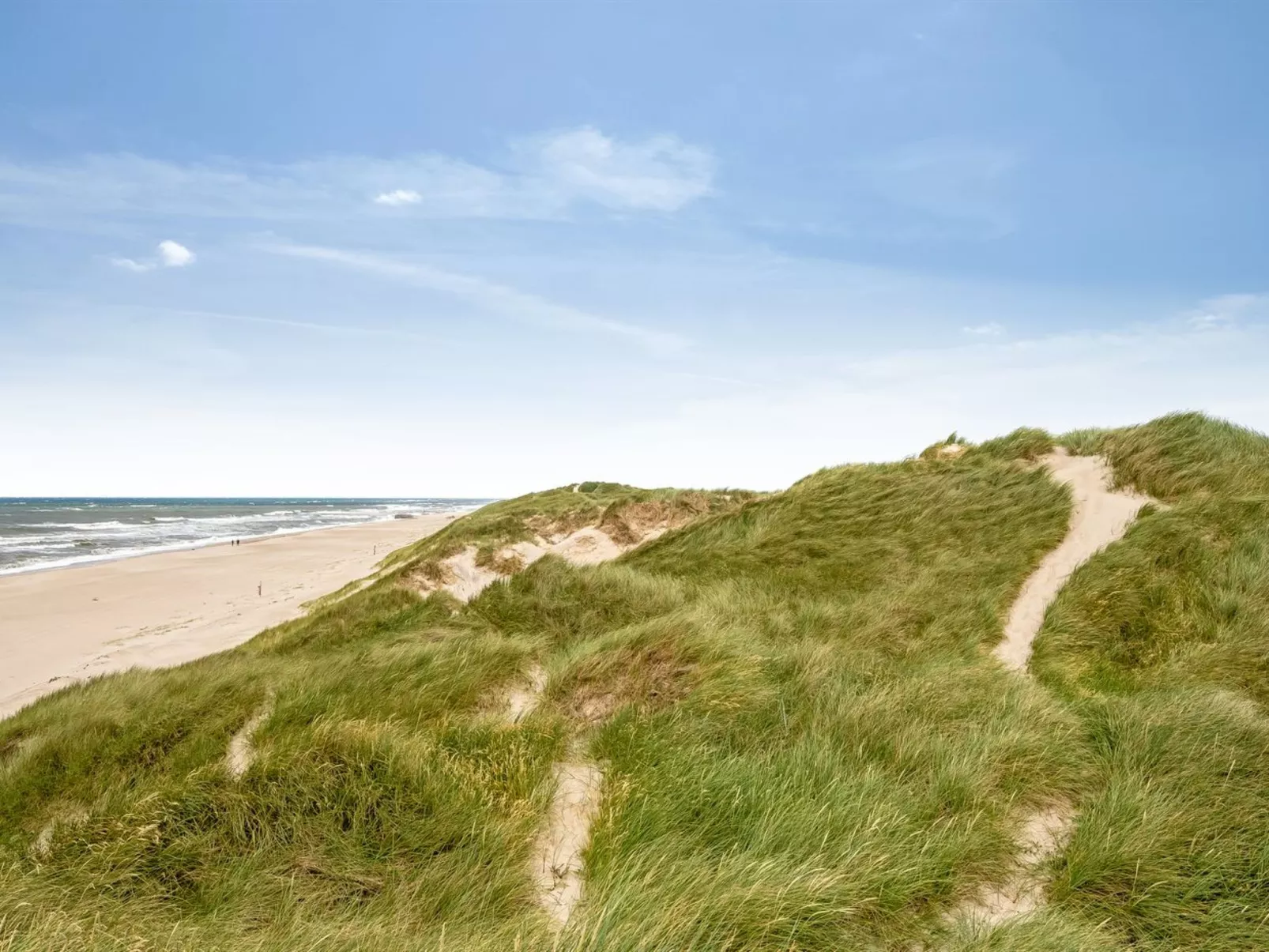 "Felicita" -  from the sea-Dehors