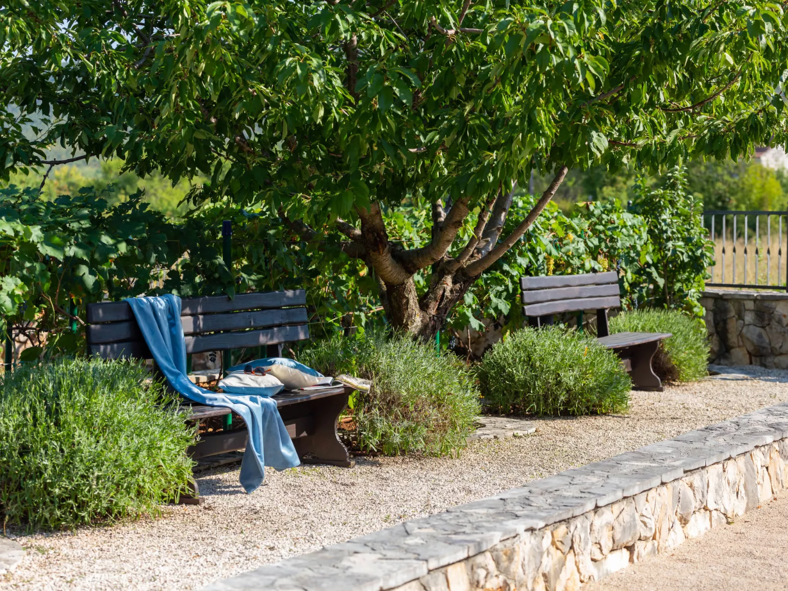 Villa Dalmatica moderna-Dedans