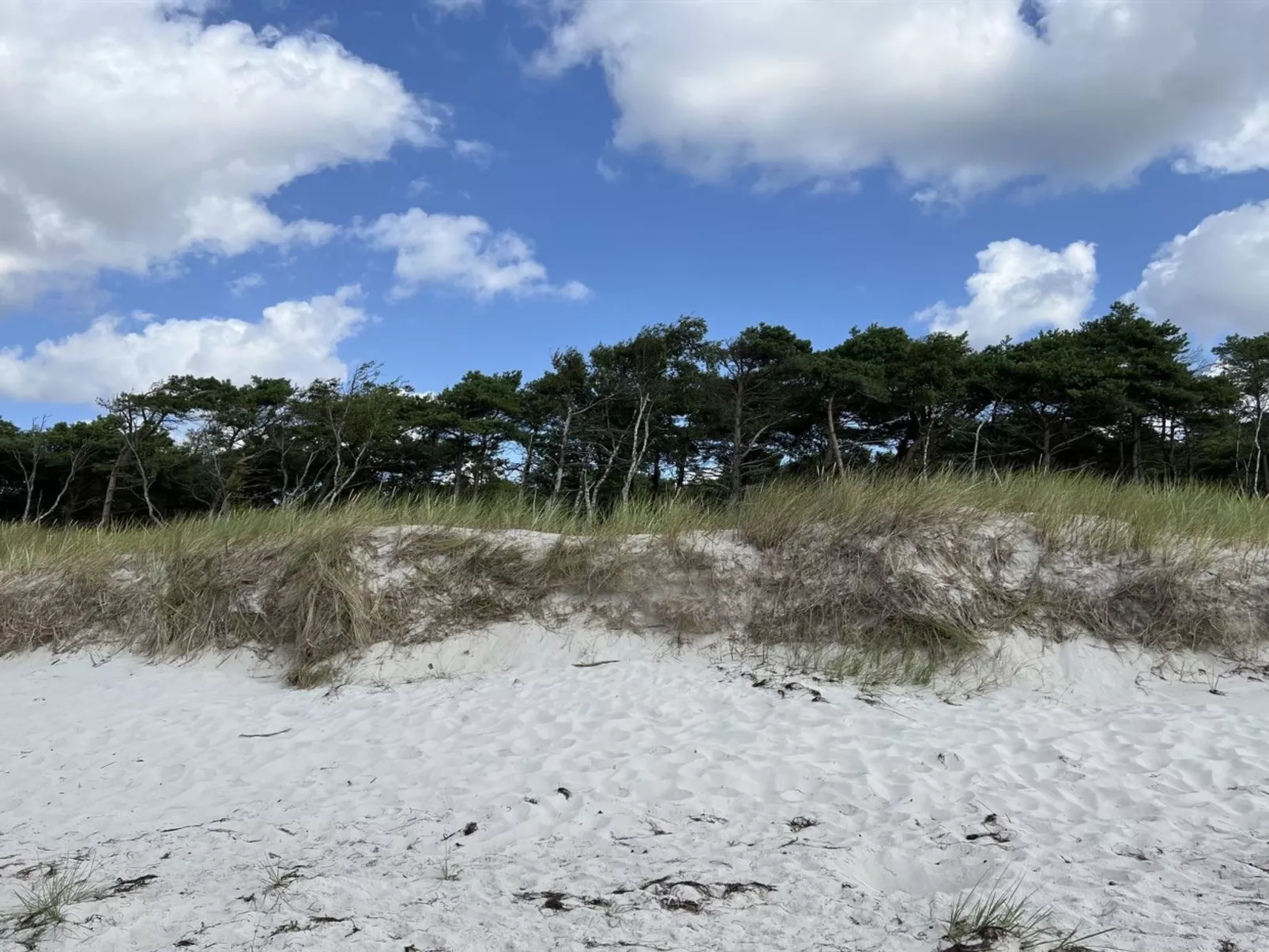 "Sonya" - 350m from the sea-Dehors